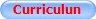 Curriculun